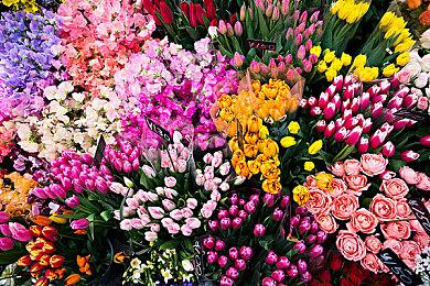 《勇气默示录HD重制版》新截图 展示迷你小游戏内容